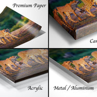 The image is a collage of four different views of a cheetah in its natural habitat, showcasing the animal in various poses and settings.