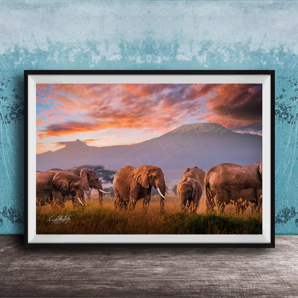 A group of elephants grazing in a grassy field with a mountain in the background, set against a colorful sunset sky.