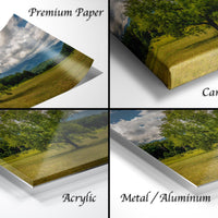 The image is a collage of four different images, each depicting a landscape scene with a tree and a field. The images are labeled as "Premium Paper", "Canvas Wrap", "Acrylic", and "Metal/Aluminum".