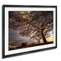 a serene landscape with a large tree in the foreground, its branches reaching out over a rocky terrain. The sky above is filled with clouds, creating a dramatic backdrop for the scene. The overall composition of the image is balanced and harmonious, with the tree and the rocky landscape forming a natural and visually appealing composition.