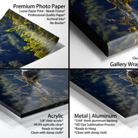 The image is a collage of four photos depicting a bald eagle perched on a tree branch, with a focus on the eagle's face and the surrounding foliage.