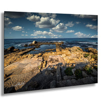 a rocky beach with a calm ocean in the background, featuring a small pool of water surrounded by rocks and vegetation.