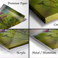 The image is a collage of four photos depicting different types of paper used for printing, including premium paper, canvas wrap, acrylic, and metal/aluminum.