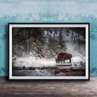 A large framed photograph depicting a bison grazing in a snowy forest landscape.