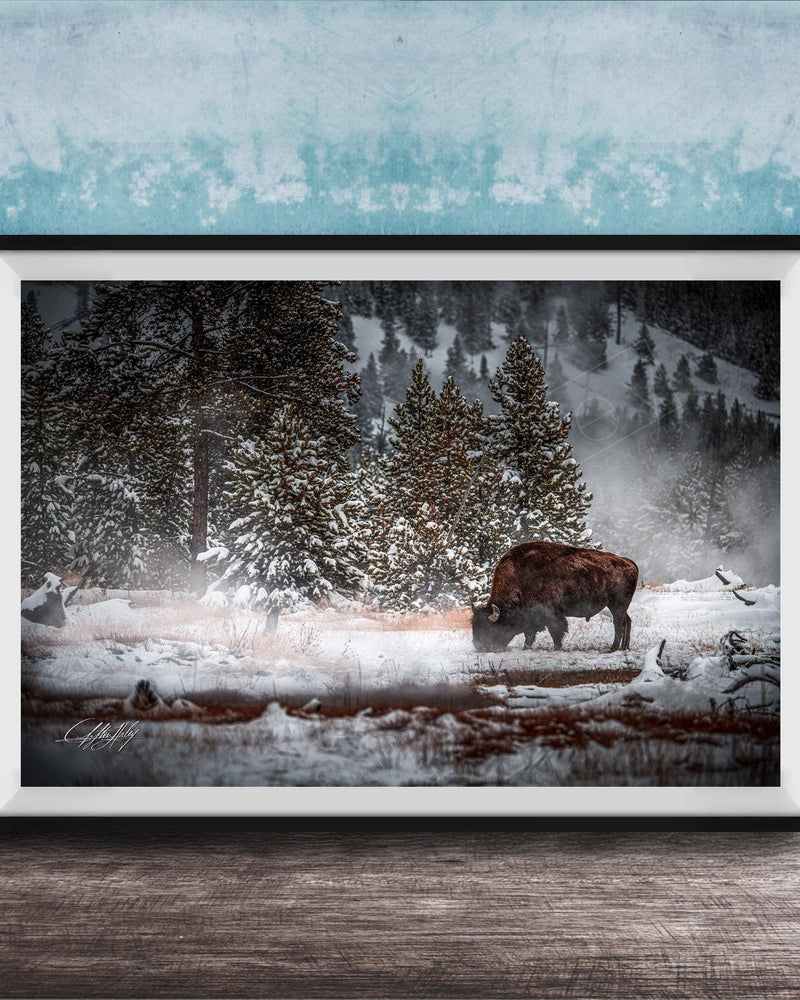 A large framed photograph depicting a bison grazing in a snowy forest landscape.