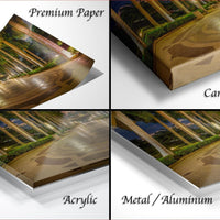 The image is a collage of four different views of a tropical landscape, including a palm tree-lined walkway, a wooden walkway, a wooden walkway with a palm tree, and a wooden walkway with a palm tree.