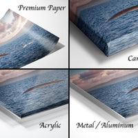 The image is a collage of four different views of a seascape, including a close-up of the ocean, a painting of a seagull, a close-up of a seagull in flight, and a close-up of a seagull on the water.