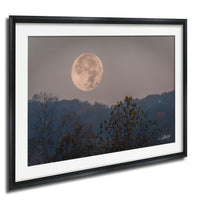 a large, full moon in the night sky, surrounded by a forested landscape with trees and foliage.
