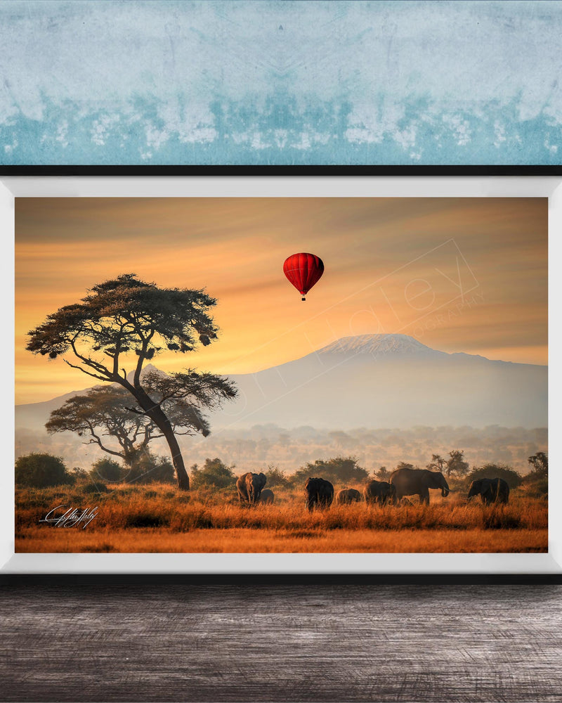 A framed photograph depicting a serene landscape with a lone tree, a herd of elephants, and a red hot air balloon floating in the sky, all set against a backdrop of a majestic mountain range.