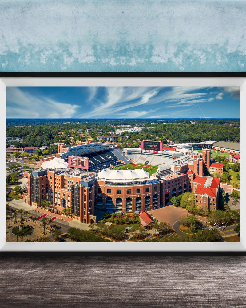 The image is a framed aerial view of a large sports stadium, showcasing its distinctive architecture and surrounding landscape.