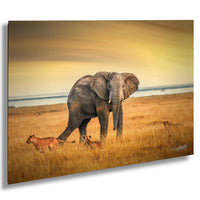 Kenya Wildlife Wall Art – Boho Elephant Battle Print | African Safari Decor Canvas 24x36