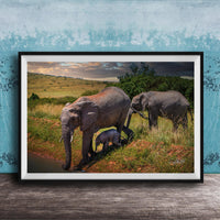 A framed photograph depicting a family of elephants in a natural setting, with a baby elephant standing in the grass near the adult elephants.