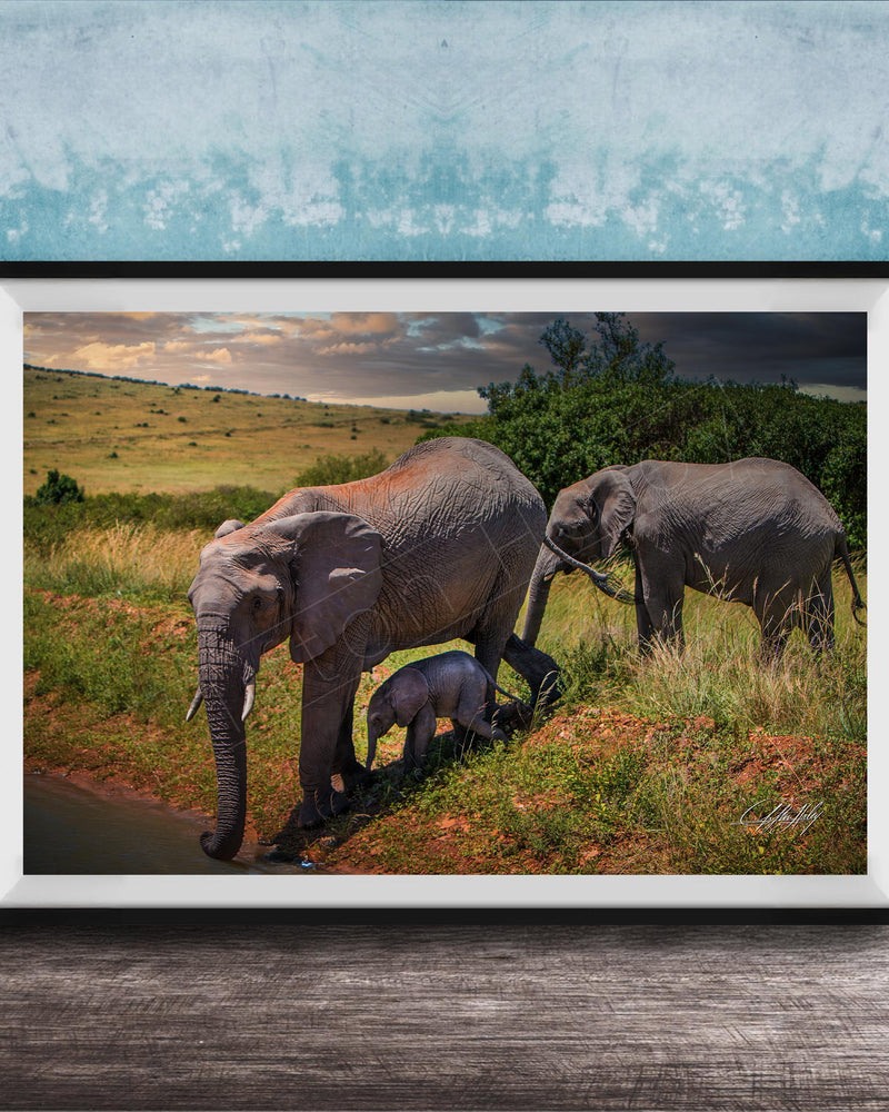 A framed photograph depicting a family of elephants in a natural setting, with a baby elephant standing in the grass near the adult elephants.
