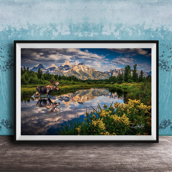 A framed photograph depicting a moose standing in a lake, with mountains and trees in the background.