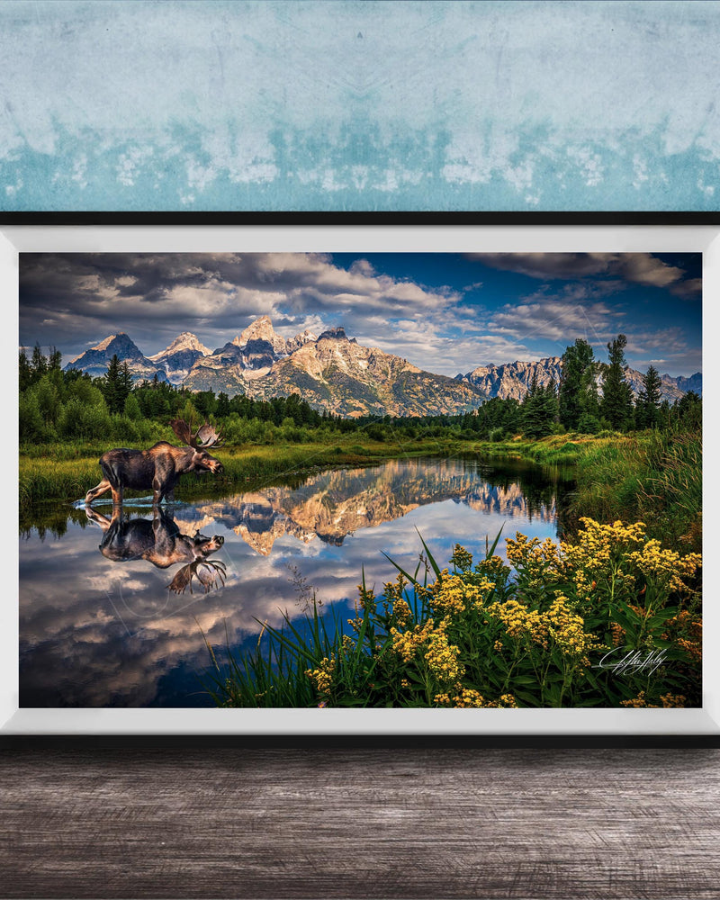 A framed photograph depicting a moose standing in a lake, with mountains and trees in the background.