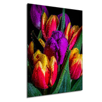 A vibrant bouquet of tulips with water droplets glistening on their petals, creating a visually striking and colorful display.