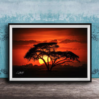 A framed photograph depicting a silhouetted tree against a vibrant sunset sky.