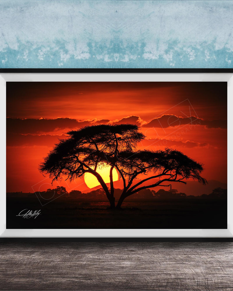 A framed photograph depicting a silhouetted tree against a vibrant sunset sky.