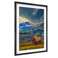 A large bison stands in a grassy field, with mountains and a cloudy sky in the background.