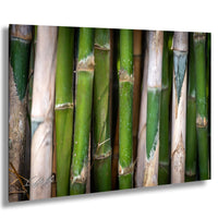 A close-up view of a collection of green bamboo stalks, with varying shades of green and some white or brown accents.