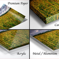 The image is a collage of four different images, each depicting a field of tall grass. The images are labeled as "Premium Paper", "Canvas Wrap", "Acrylic", and "Metal/Aluminum".
