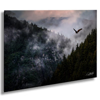 a majestic eagle soaring high above a misty mountain landscape, with the silhouette of trees and mountains visible in the background.