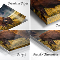 The image is a collage of four different views of a bison in its natural habitat, showcasing the animal in various poses and settings.