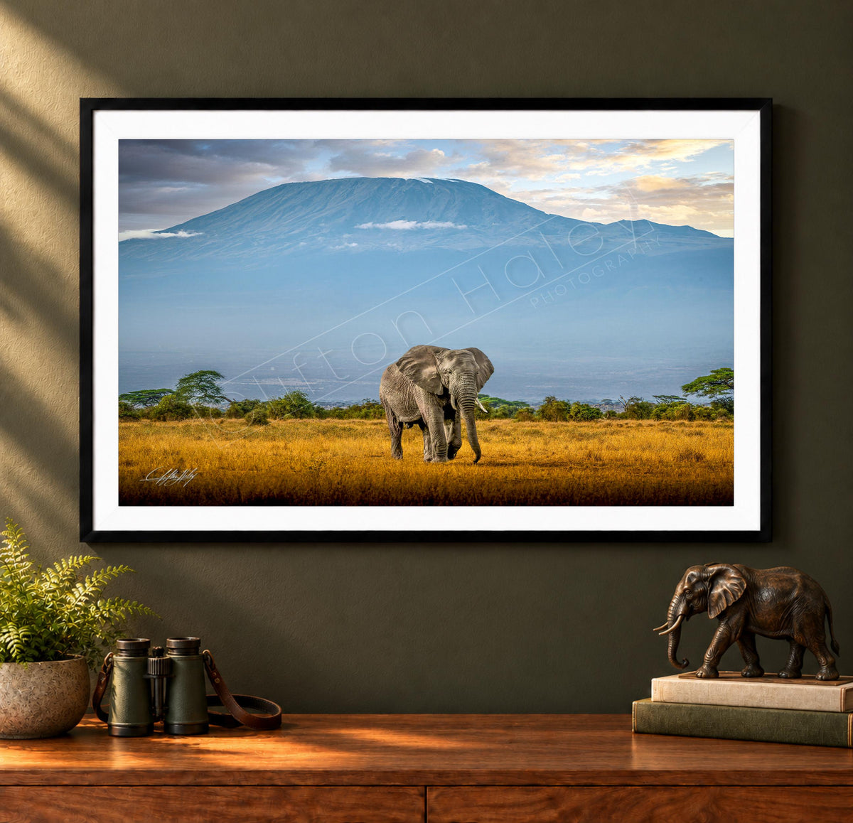 A framed photograph of an elephant standing in a grassy field with a mountain in the background.