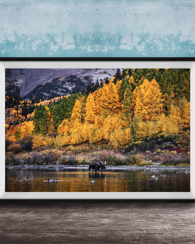 A black moose stands in a body of water surrounded by a vibrant autumn forest, with a blue sky and mountains in the background.