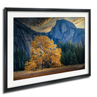 A large tree with vibrant yellow leaves stands in a field, framed by a majestic mountain range and a dramatic sky with clouds.