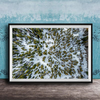 The image is a framed aerial photograph of a snowy forest, showcasing the dense forest covered in snow.