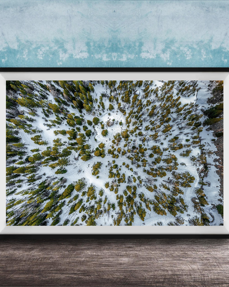 The image is a framed aerial photograph of a snowy forest, showcasing the dense forest covered in snow.