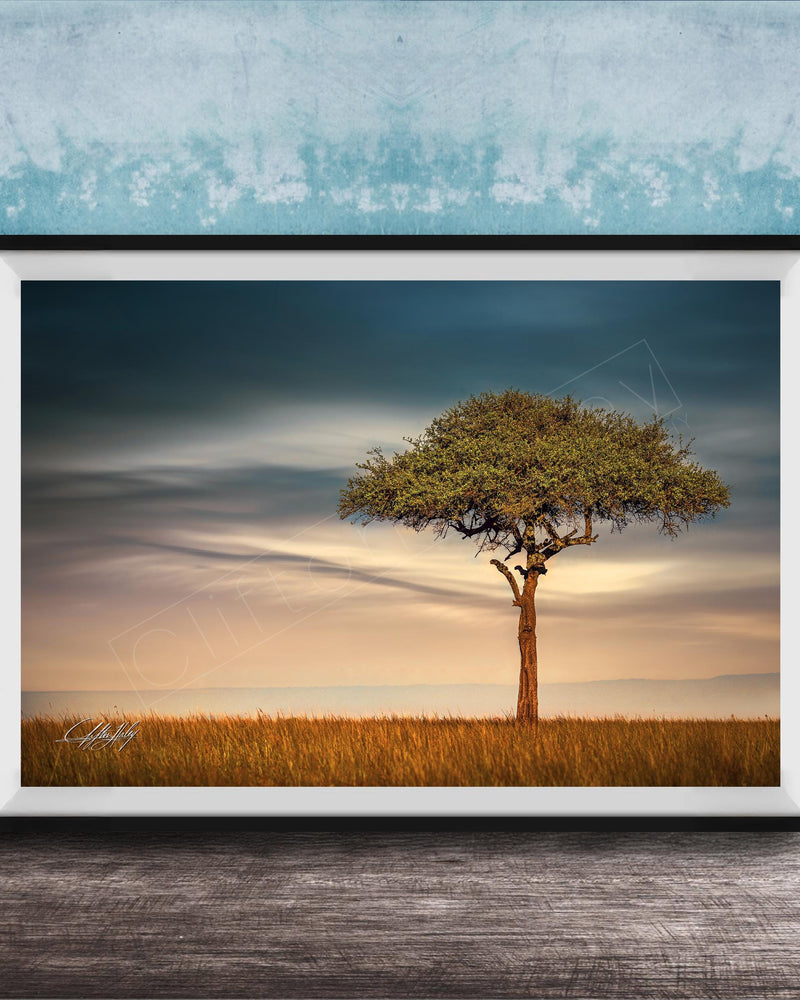 A framed photograph of a lone tree standing in a field, with a cloudy sky in the background.