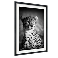 A black and white photograph of a cheetah, with its distinctive spotted coat and intense gaze, is framed and displayed on a wall.