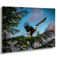 A majestic bald eagle soars through the sky, its wings spread wide as it glides over a tree branch.
