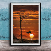 a serene sunset over a body of water, with a silhouetted tree and a bird flying in the foreground.