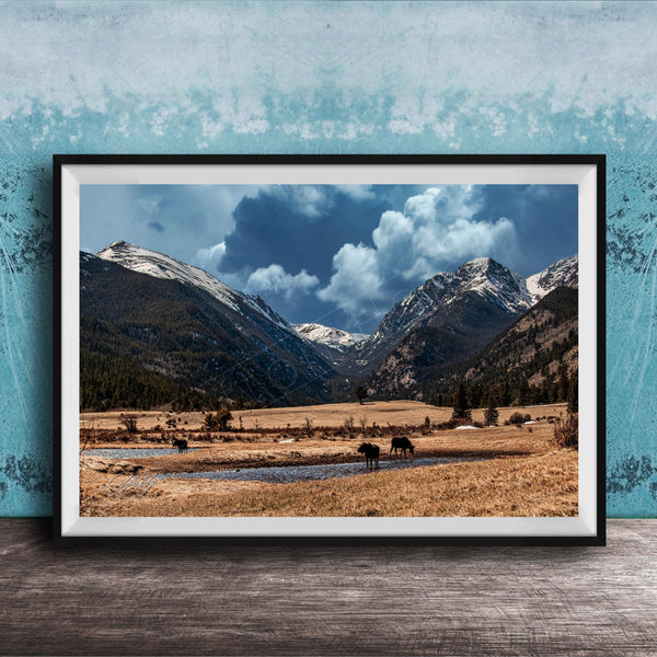 A framed photograph depicting a serene landscape with snow-capped mountains, a river, and grazing animals in a field.