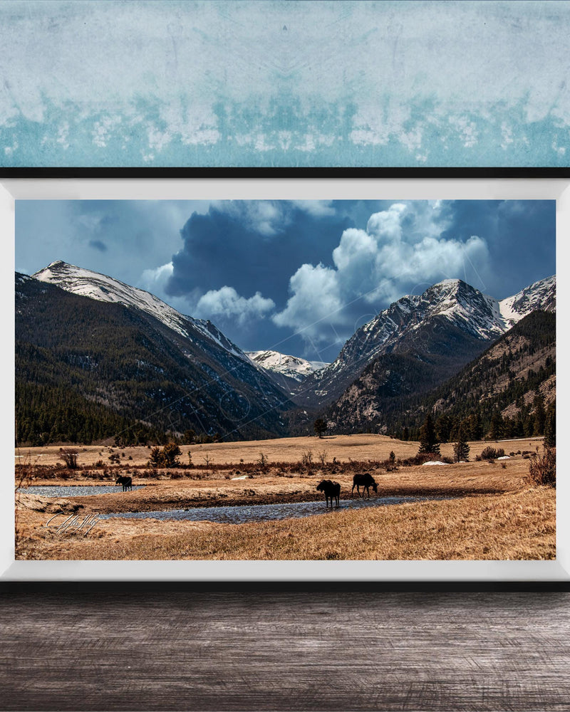 A framed photograph depicting a serene landscape with snow-capped mountains, a river, and grazing animals in a field.