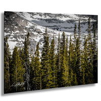 a serene forest scene with tall, green trees and snow-capped mountains in the background.