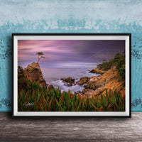 A framed photograph depicting a serene coastal landscape with a lone tree on a rocky cliff overlooking the ocean at sunset.
