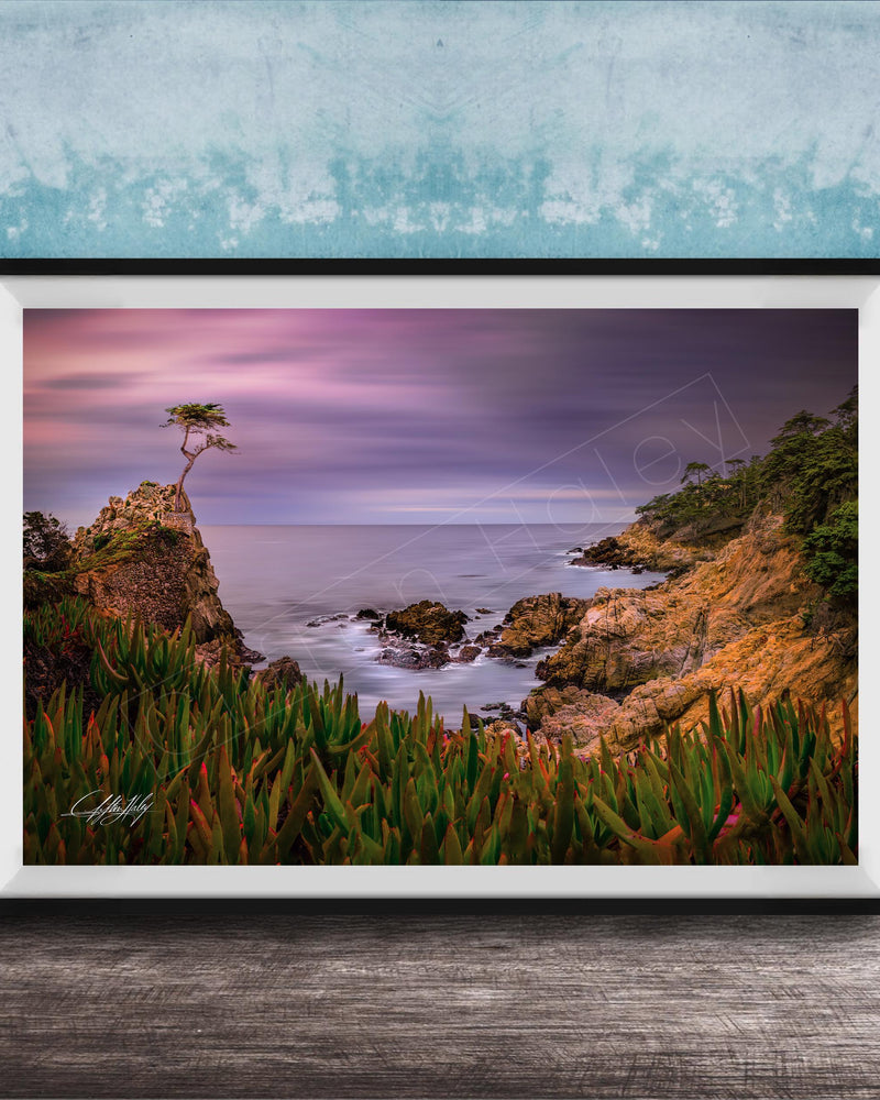A framed photograph depicting a serene coastal landscape with a lone tree on a rocky cliff overlooking the ocean at sunset.