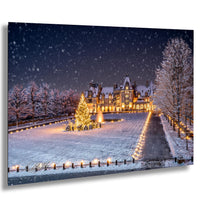 A large, illuminated building with a Christmas tree in the foreground, surrounded by snow-covered trees and a snowy landscape.
