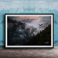 A framed photograph depicting a bird soaring over a misty mountain landscape with a forested area below.