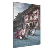 two camels with colorful blankets, sitting in front of a large, ancient building with a carved facade.