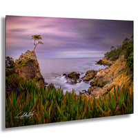 a serene coastal landscape with a lone tree on a rocky cliff overlooking the ocean. The sky is filled with clouds, creating a dramatic backdrop for the scene. The foreground is dominated by lush vegetation, adding a touch of green to the otherwise rocky and rugged terrain. The overall composition is visually appealing and evokes a sense of tranquility and natural beauty.