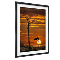 a serene sunset over a body of water, with a silhouetted tree in the foreground and a bird flying in the background.