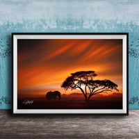 A framed photograph depicting a lone elephant standing in front of a large tree silhouetted against a vibrant orange and red sunset sky.