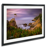 A framed photograph depicting a serene coastal landscape with a lone tree on a rocky cliff overlooking the ocean.