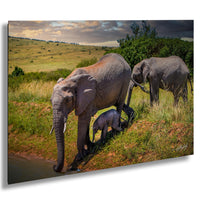 A family of elephants, including a large adult and two smaller elephants, are seen in a grassy field near a water source, with a cloudy sky in the background.