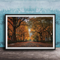 A framed photograph depicting a tree-lined street with fallen leaves, set against a blue wall.